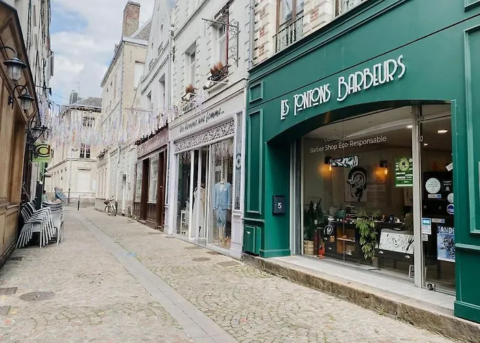 Hébergement de vacances La Maison Rose Quartier Des Arts - Hyper Centre